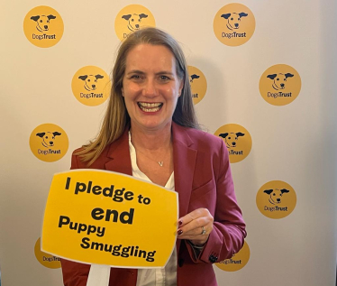 Puppy Smuggling